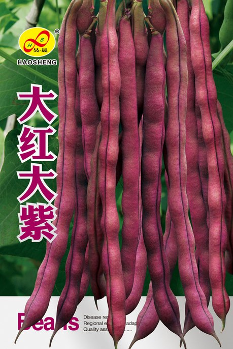 大红大紫架豆东北红架豆种子