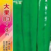 大果83-8泡椒种子 辣椒种子