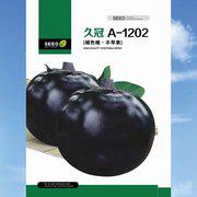 久冠A-1202紫黑圆茄种子