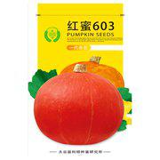 红蜜603南瓜种子
